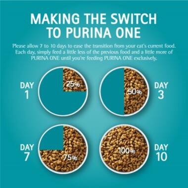 PURINA ONE Hairball Control Dry Cat Food Purina